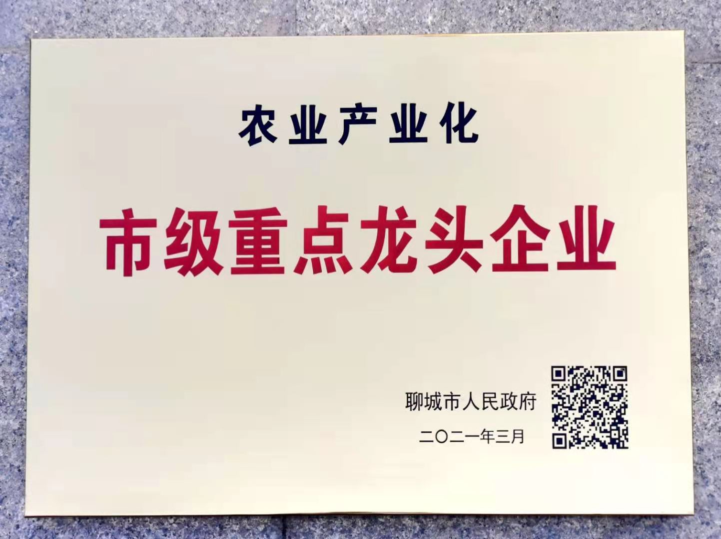 熱烈祝賀我公司被評為 “市級重點龍頭企業”